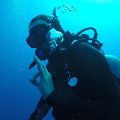 Durante su voluntariado ambiental en Belice, un adolescente realiza inmersiones para obtener información. Un joven realizando actividades de buceo como parte de su voluntariado ambiental en Belice.
